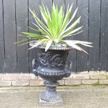 A cast iron garden urn