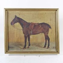 After George Paice, 1854-1925, Juniper, study of a horse, signed with initials N B, oil on board, 27