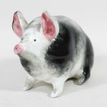 An early 20th century Wemyss model of a pig, with black and white markings, impressed marks, 16cm