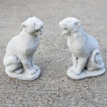 A pair of cast stone garden statues of pumas, 58cm high (2)