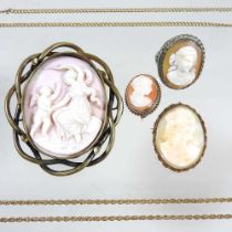 A large early 20th century cameo shell brooch, carved with classical figures, within a gilt openwork