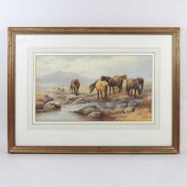 Thomas Rowden, 1842-1926, Doe Tor Stream, Lydford, signed, watercolour, 34 x 19cm