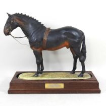 A Clermont model of Her Majesty's Mulgrave Supreme, Cleveland Bay Stallion, modelled by Robert