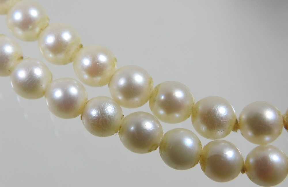 A double strand cultured pearl necklace, with an ornate 9 carat gold clasp set with a central - Image 4 of 6