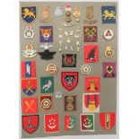 49 Items Of Insignia For Singapore Armed Forces display board with good tabulated display of metal