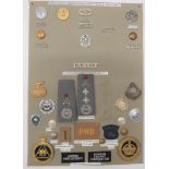 29 Items Of Insignia For Nigeria Police And Government display board with good tabulated display