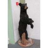 Vintage Taxidermy Small Bear well done complete bear in standing pose.  Mounted on a natural