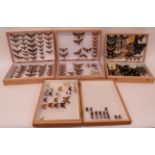 Four Display Cases Of Butterflies And Moths specialist wooden opening boxes containing a large