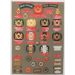 33 Items of Insignia For Malay Regiment display board with good tabulated display of metal and cloth
