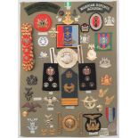 38 Items Of Insignia For Nigerian Forces display board with good tabulated display of metal and