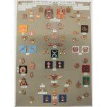 58 Items Of Insignia For Iraq 1921-2003 display board with good tabulated display of metal badges