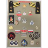 29 Items Of Insignia For Hong Kong Civil Organisations display board  with good tabulated display of