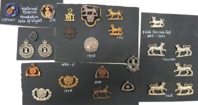 24 x Hampshire Collar Badges including white metal 2nd VB tiger ... White metal KC Isle Of Wight