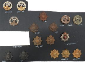 16 x Hampshire Regiment Cap Badges including bi-metal, slider ... Plastic economy, blades ...