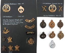 22 x Hampshire Cap Badges, Collars And Titles cap include bi-metal, lugs ... Brass Royal Guernsey,