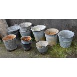 A collection of galvanised flower pots and buckets. (11),