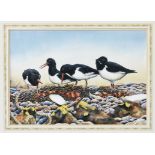 Nick Parlett (Jersey, 20th, 21st century), Oyster catchers on the shore, watercolour and gouache,