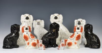 A collection of Staffordshire seated dogs, to include a white version with traditional
