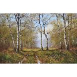 James Wright (British, b.1935), "Woodland Track", oil on canvas, signed lower right, inscribed