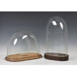 Two Victorian glass domes with bases, to include an oval example with interior measurements of 16