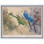 Winifred Austen RE, RI (British, 1876-1964), "Budgerigars", etching in colours on wove paper, signed