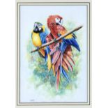 Nick Parlett (Jersey, 20th, 21st century), Pair of parrots on a branch, watercolour and gouache,