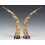 A pair of Chinese carved water buffalo horns, mid-20th century, each decorated with a long bodied