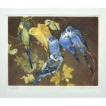 Winifred Austen RE, RI (British, 1876-1964), "Budgerigars", etching printed in colours on wove