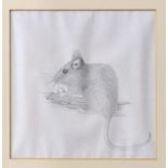 Christine O'Connell (late 20th century), "Doormouse", pencil, signed in pencil centre right, framed,