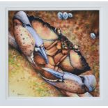 Nick Parlett (Jersey, 20th, 21st century), Chancre Crab, watercolour and gouache, signed lower left,