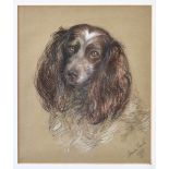 Edith Honor Earl (British, 1901-1996), Spaniel and Labrador, pair of pastels on paper, both signed