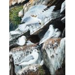 Nick Parlett (Jersey, 20th, 21st century), Seagulls nesting on the cliffs, watercolour and