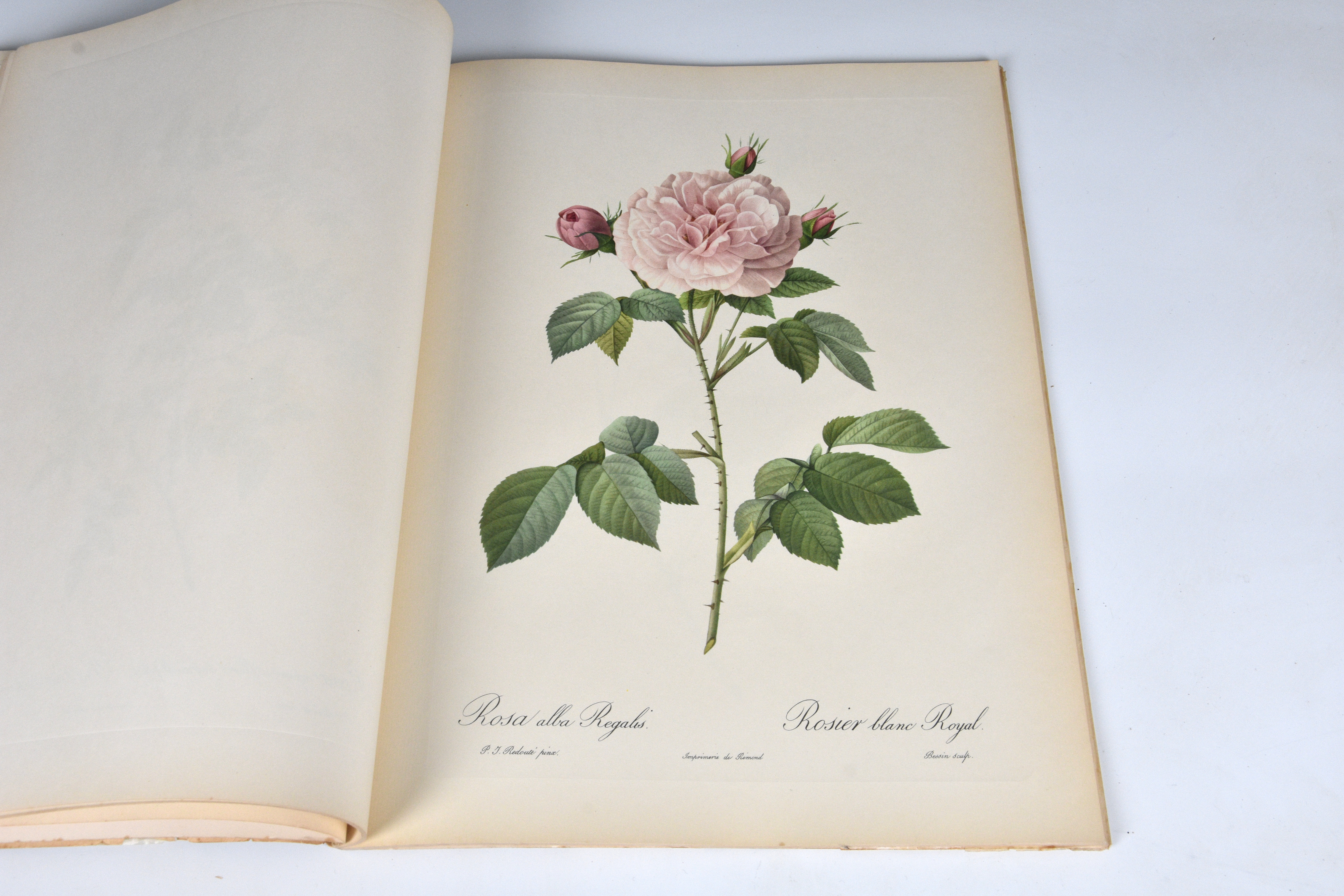 Pierre-Joseph Redouté, two volumes - 'Fruits and Flowers' and 'Roses', The Ariel Press, 1955 and - Image 5 of 5