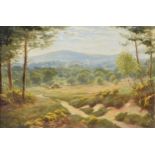 Albert Starling (British, 1858-1947), Coates Common near Chichester, oil on board, signed lower