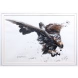 J. R. Bartlett (British, late 20th century) 'Immature Golden Eagle - On a Kill', watercolour,