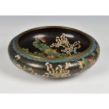 A Chinese, late 19th century, Cloisonné enamel bowl floral and cherry blossom pattern encircling and