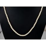 A cultured pearl single strand necklace the evenly sized 4mm. pearls with 18ct gold clasp, 19in. (