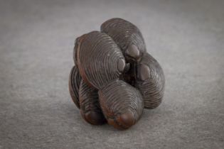 A WOOD NETSUKE OF A CLUSTER OF EIGHT HAMAGURI CLAMS