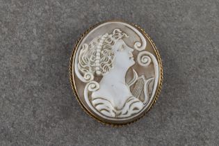 A yellow metal mounted cameo brooch