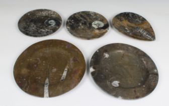 Five polished carved stone plates, incorporating fossils
