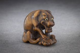 A GOOD TOYOMASA SCHOOL WOOD NETSUKE OF AN EMACIATED WOLF EATING A HAUNCH OF VENISON