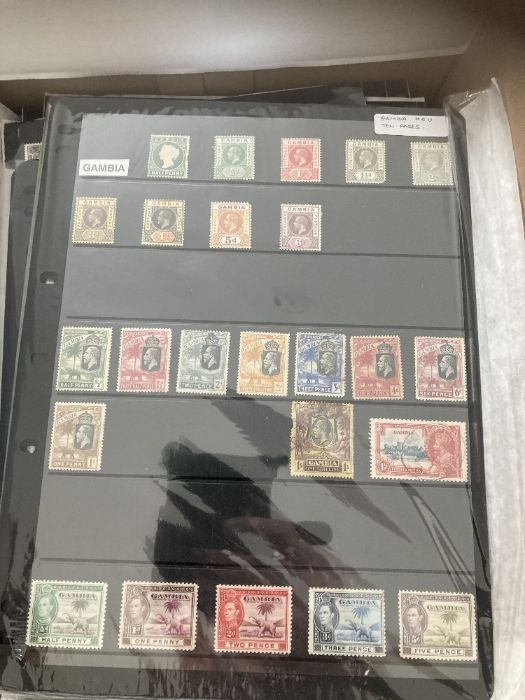 STAMPS : BRITISH COMMONWEALTH, box with various in stockbooks - Image 6 of 7