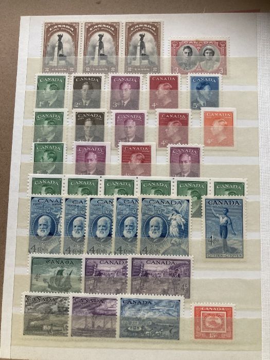 STAMPS CANADA, Collection in Schaubek album plus stock books - Image 3 of 5