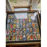 Two picture frames of cigarette cards sets