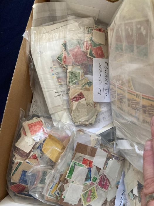 Shoebox crammed with used stamps sorted in bags (1000's)
