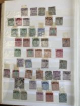 STAMPS : BRITISH COMMONWEALTH, a mint & used assortment in two large stockbooks