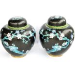 A pair of Chinese black ground cloisonne ginger jars decorated with birds on branches etc, height