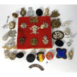 A small selection of military badges attached to wooden board and a larger selection of loose