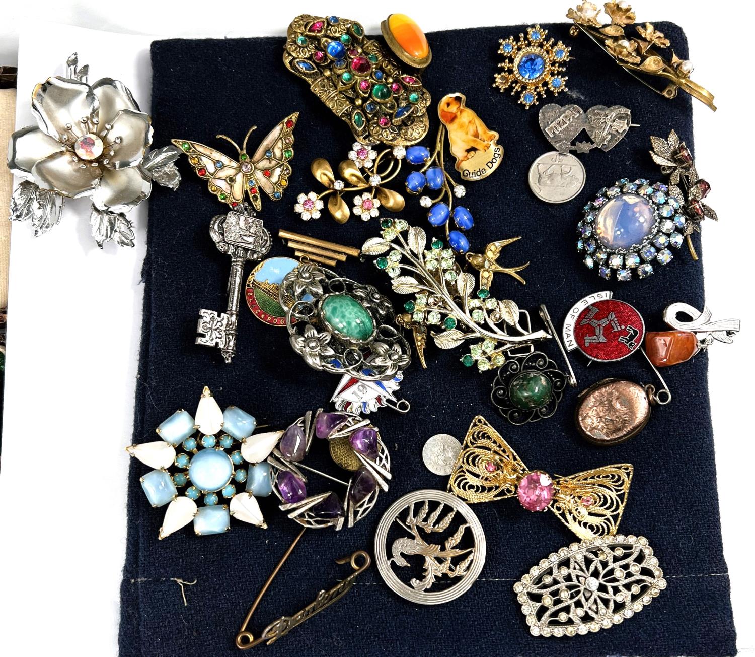 A selection of costume brooches of various ages and styles