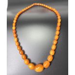 An early/mid 20th century amber necklace formed from graduating oval 'butterscotch' beads, largest